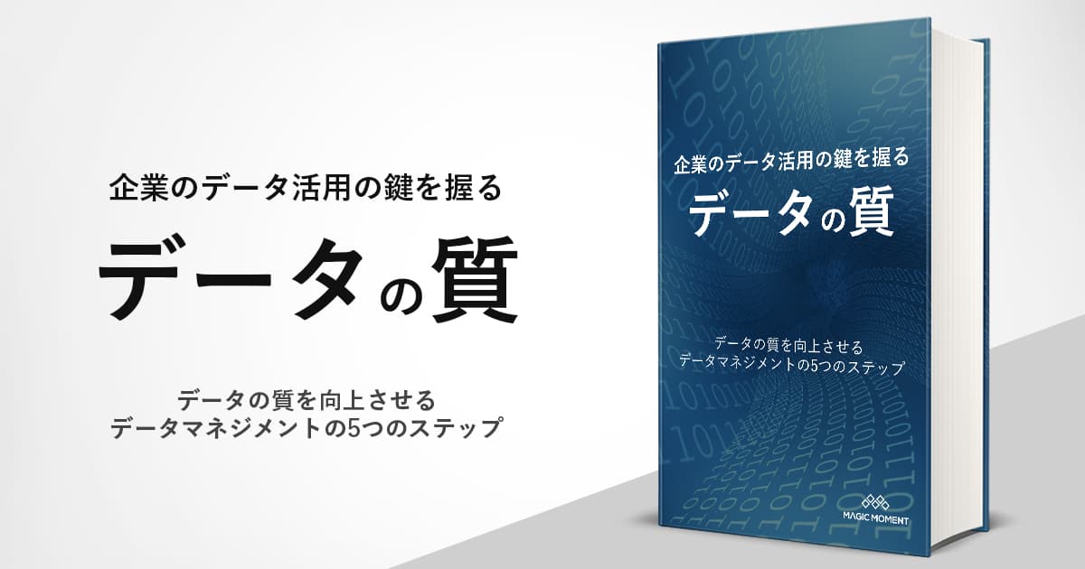 企業のデータ活用の鍵を握るデータの「質」 〜データの質を向上させるデータマネジメントの5つのステップ〜